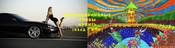spice Абинск