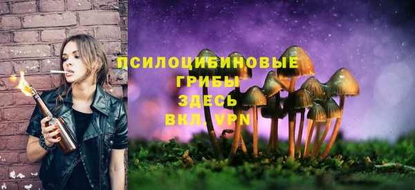трава Абдулино