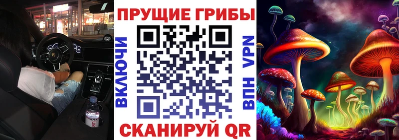 Псилоцибиновые грибы Cubensis  Усмань 